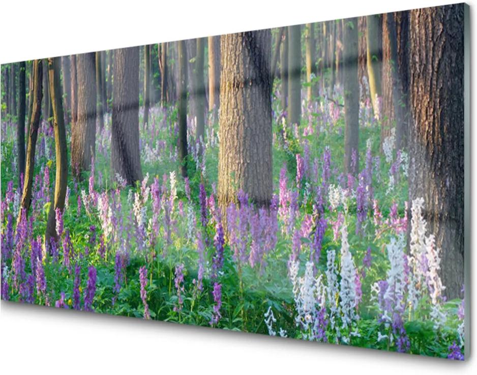 Obraz na akrylátovom skle Sklenený Les Kvety Príroda