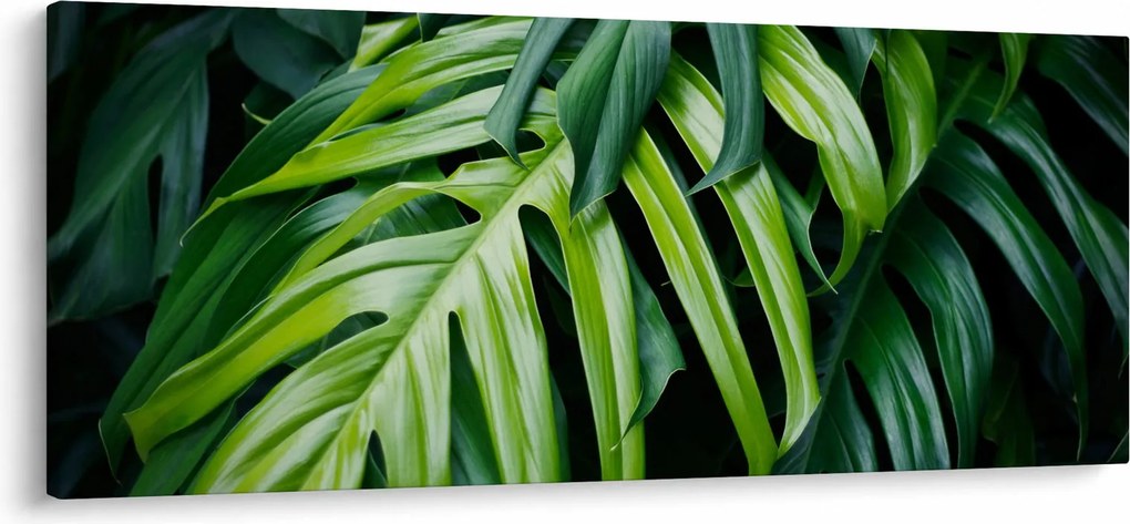 Obraz - Tropické listy (120x50 cm)