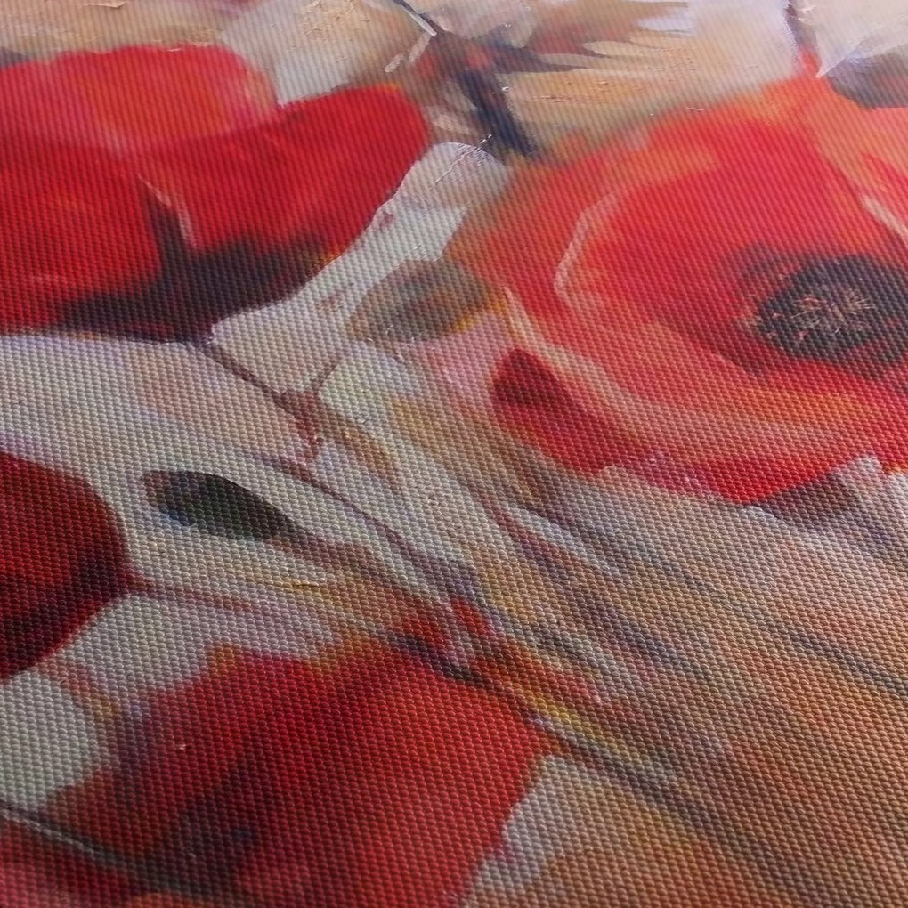 Obraz - Vlčie maky (120x50 cm)