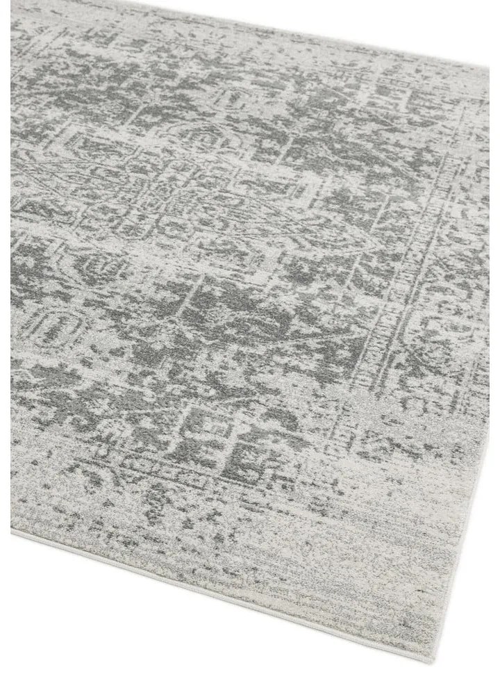 Sivý koberec 160x230 cm Nova – Asiatic Carpets