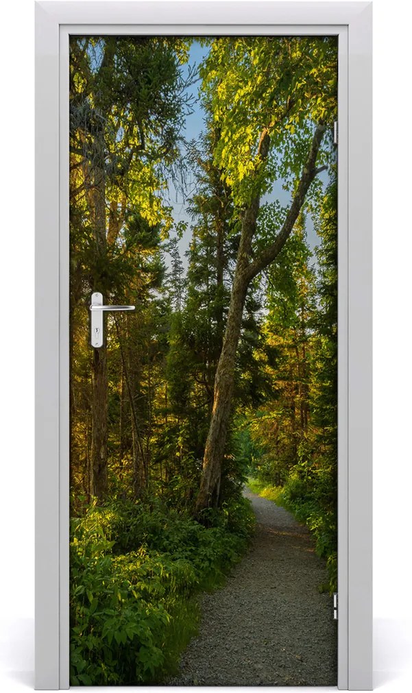 Fototapeta na dvere  chodník v lese