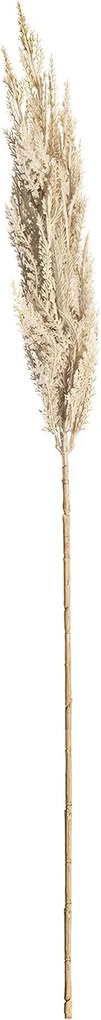 Vetvička trávy pampas 90cm cream