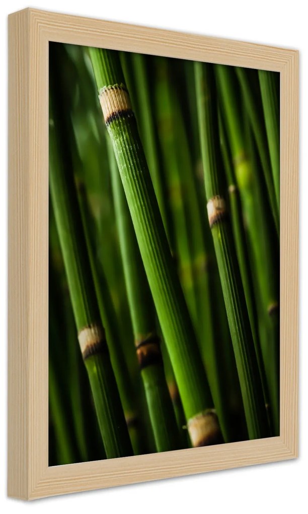 Gario Plagát Bambusový les Farba rámu: Bez rámu, Rozmery: 40 x 60 cm