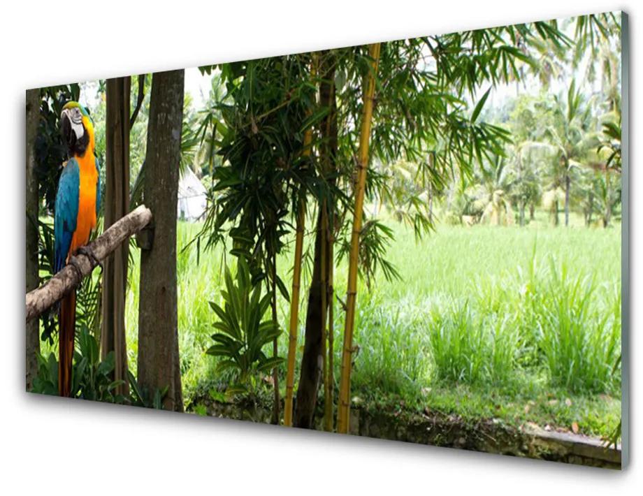 Sklenený obklad Do kuchyne Papagáj stromy príroda 140x70cm