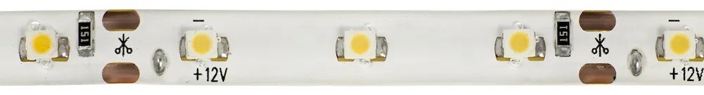 ECOLIGHT LED pásik - SMD 2835 - 1m - 60LED/m - 4,8W/m - IP20 - teplá biela