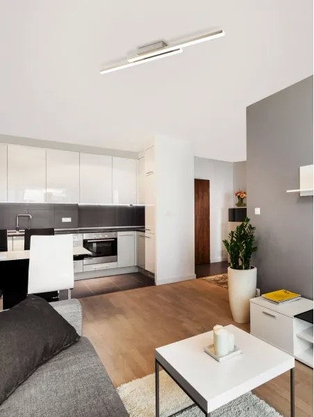 Eglo 55971 - LED RGBW stmievateľné stropné svietidlo FRAIOLI-Z LED/34W/230V m. chróm+DO