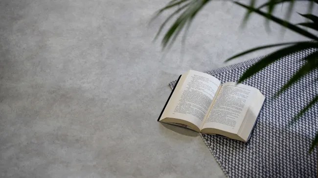 PVC podlaha Viva Prato S90 sivá