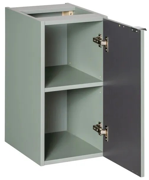 Závesná kúpeľňová skrinka Séria Trstina Zelená D 81-30-1D zelená