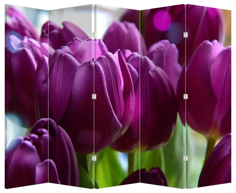 Paraván - Tulipány (210x170 cm)