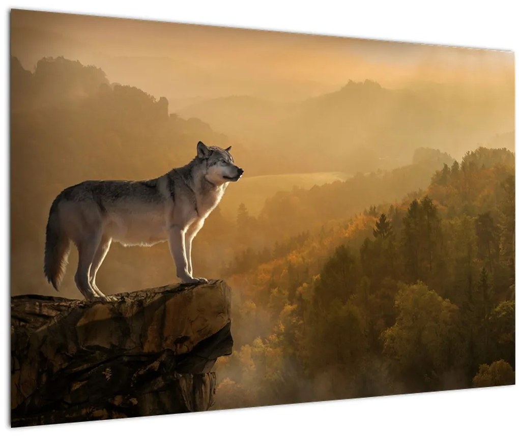 Obraz vlka na skale (90x60 cm)
