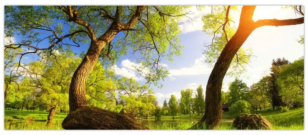 Obraz jarnej lúky (120x50 cm)