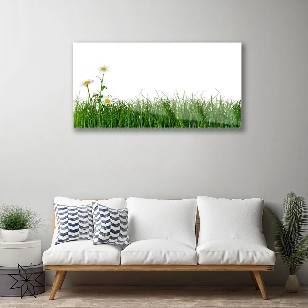 Obraz na akrylátovom skle Burina príroda rastlina 100x50 cm