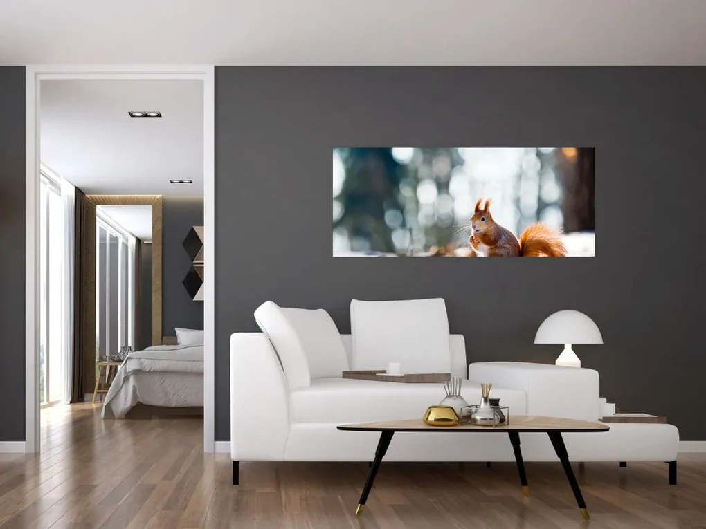 Obraz - Veverička (120x50 cm)