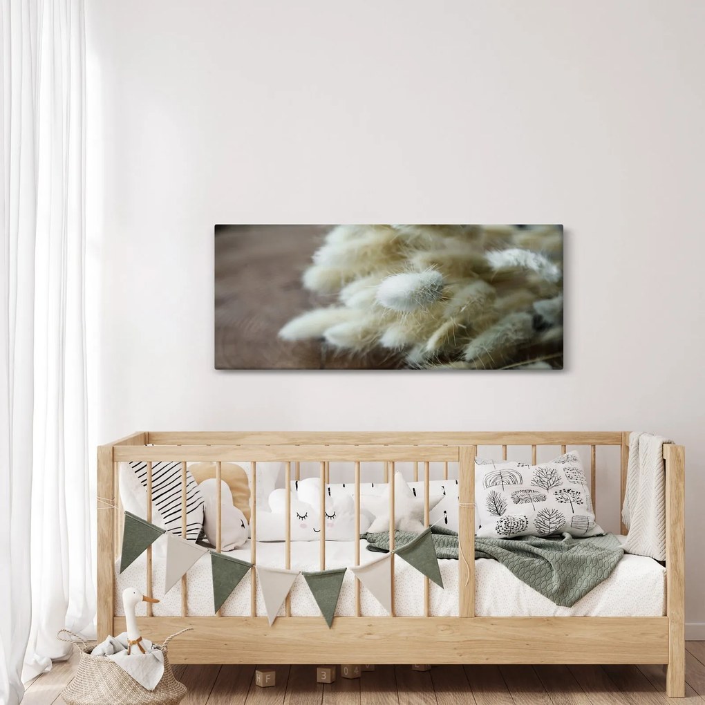 Obraz - Zajačí chvostík (120x50 cm)
