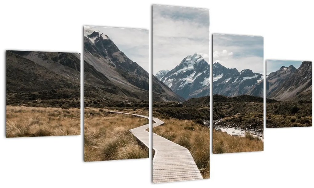 Obraz - Chodník v údolí hory Mt. Cook (125x70 cm), 40 ďalších rozmerov