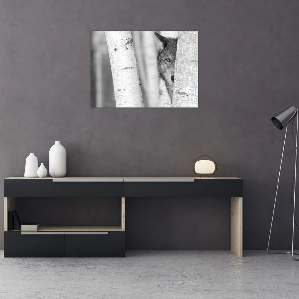 Obraz - Vlk v lese (70x50 cm)