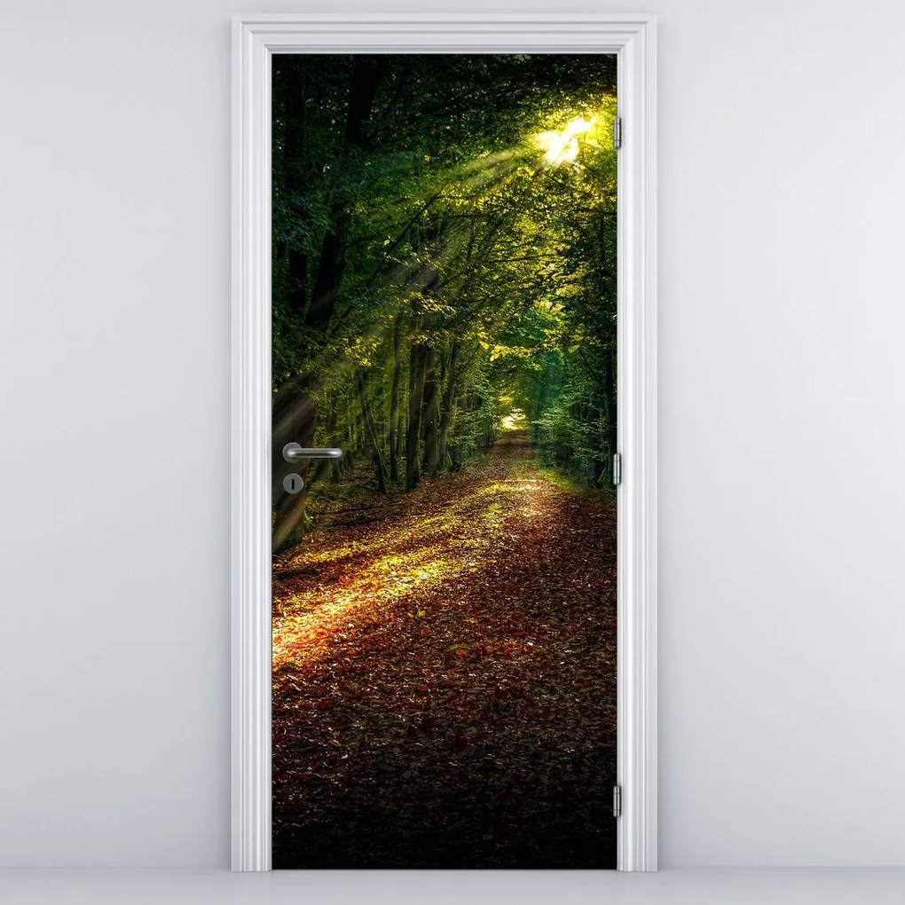 Fototapeta na dvere - Lesná cesta (95x205cm)