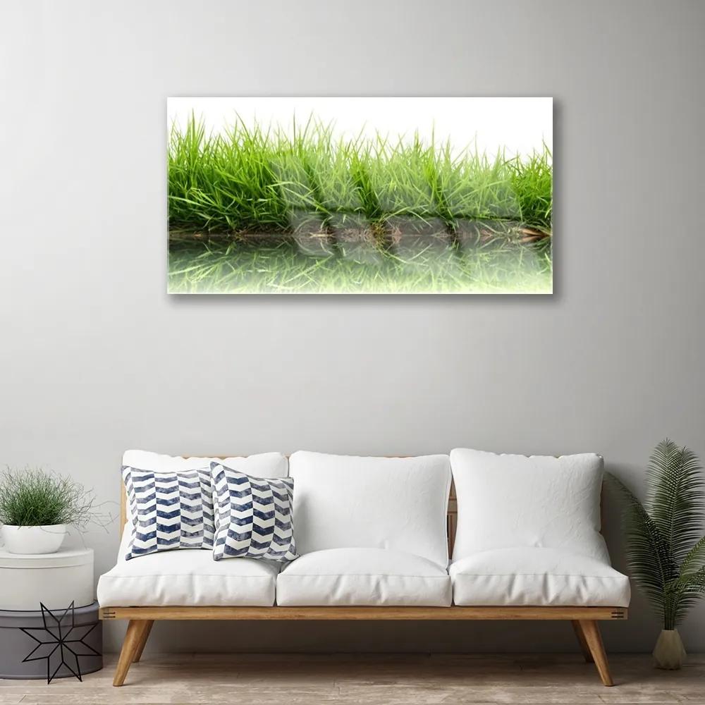 Obraz na akrylátovom skle Tráva voda príroda rastlina 100x50 cm