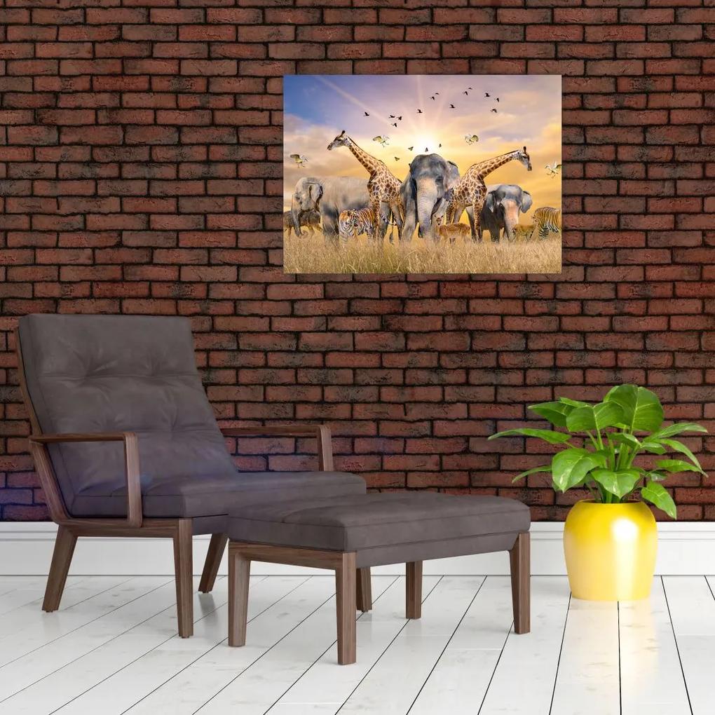 Sklenený obraz - Africké zvieratá (70x50 cm)