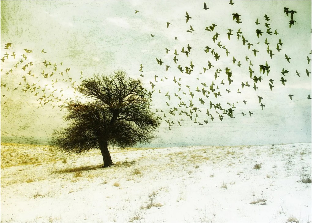 Obraz - Maľovaný kŕdeľ vtákov (70x50 cm)
