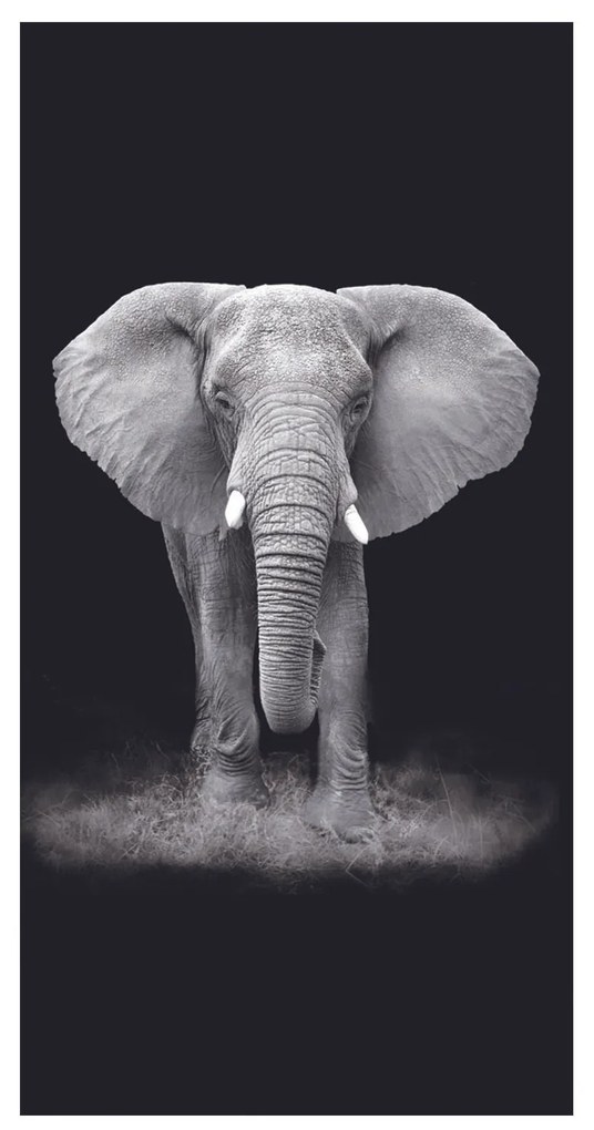 PLÁŽOVÁ OSUŠKA Z MIKROVLÁKNA ELEPHANT2 100X180 CM VZOROVANÁ