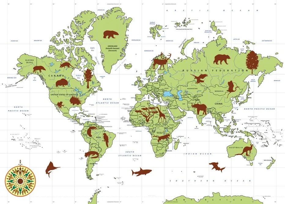 Obraz mapa sveta s charakteristickými zvieratami