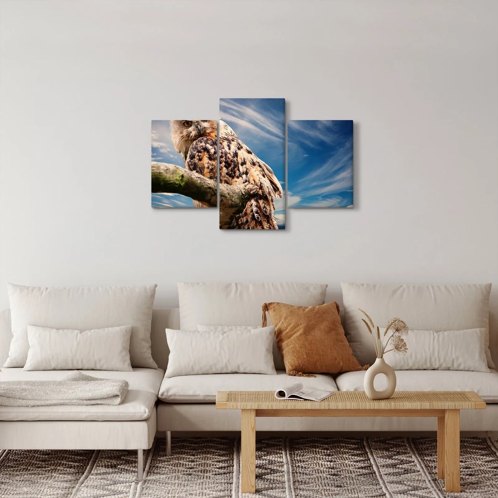 Obraz - Sova (90x60 cm)