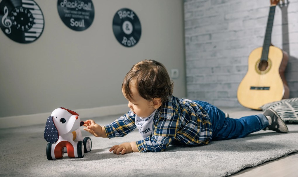 Psík jazdiaci Charlie Tiny Rockers