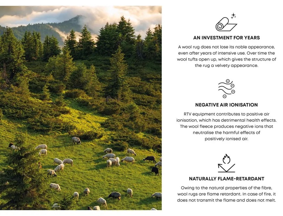 Svetlohnedý vlnený koberec 133x180 cm Charlotte – Agnella