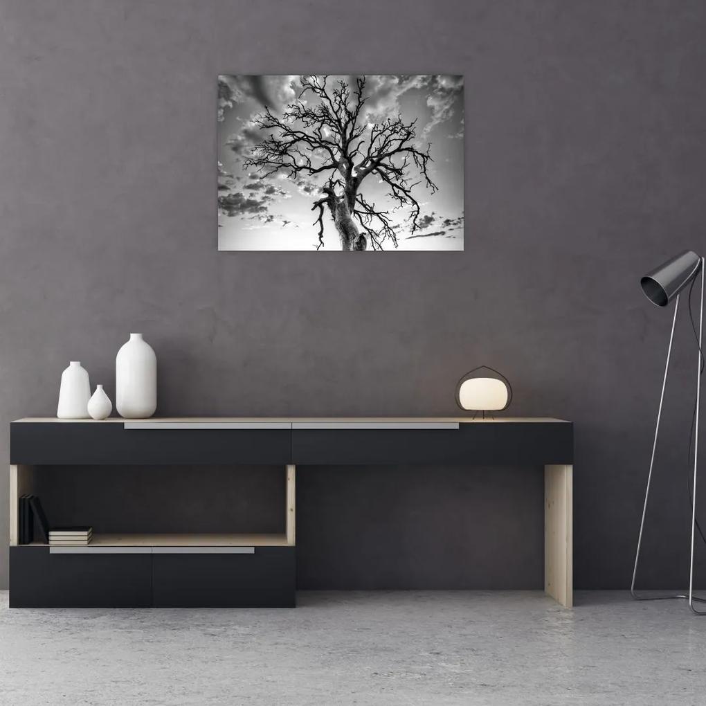 Sklenený obraz - Čiernobiely strom (70x50 cm)