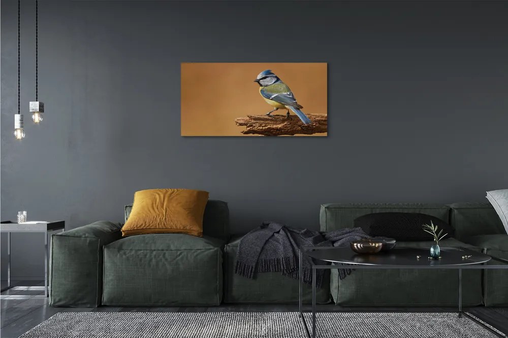 Obraz na plátne Vták 125x50 cm