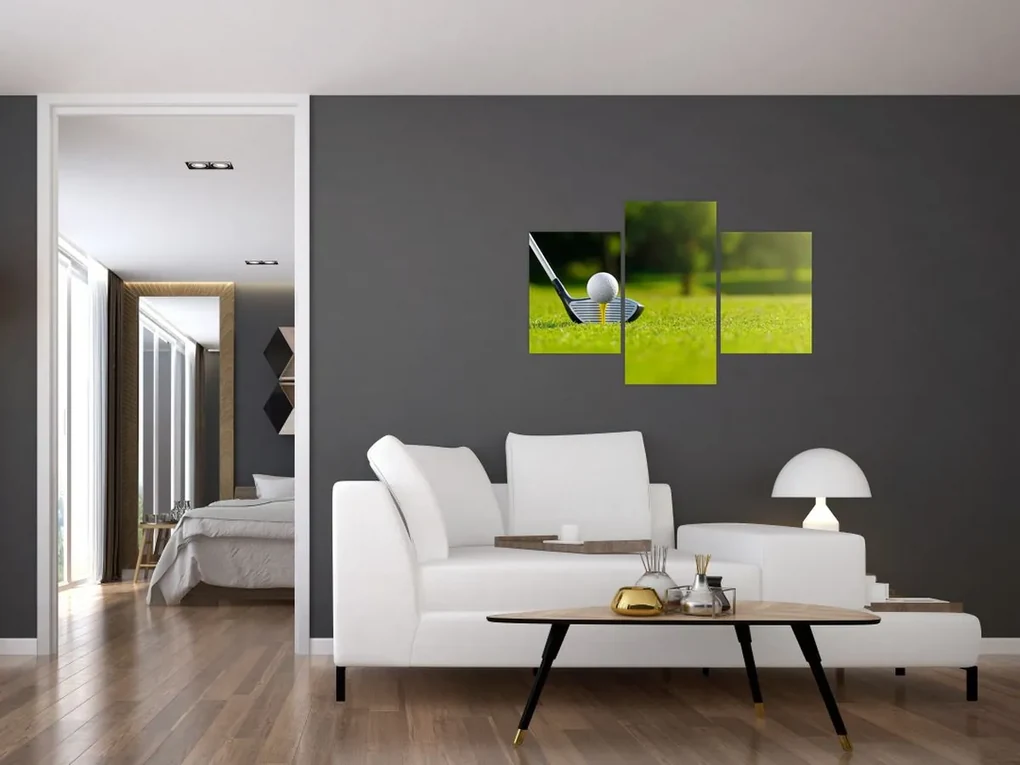 Obraz - Golf (90x60 cm)