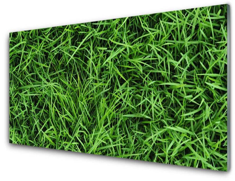 Obraz na skle Tráva trávnik 100x50 cm