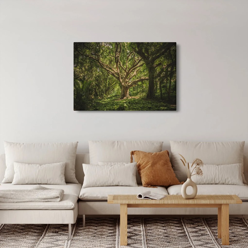 Obraz stromov (90x60 cm)