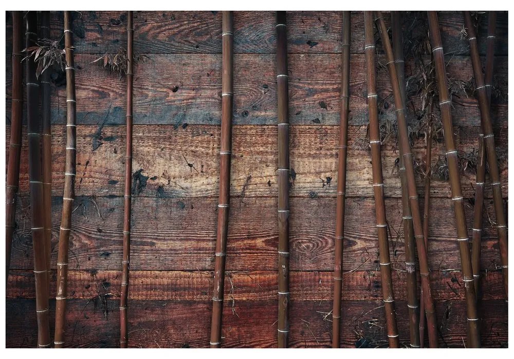 Samolepiaca tapeta exotický bambus na dreve