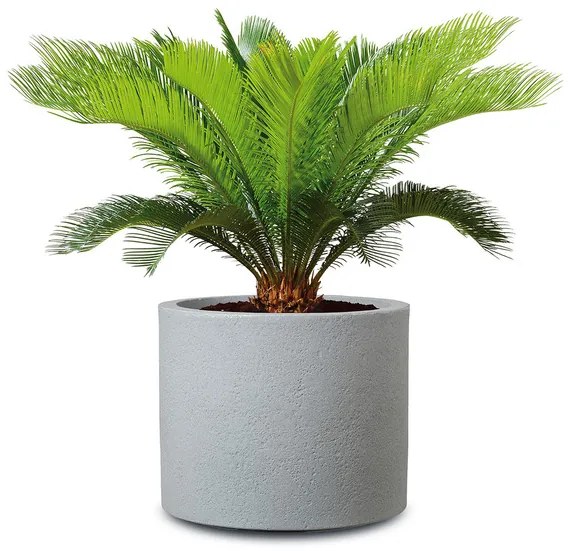 Scheurich Kvetináč Riva (kamenistá sivá, Ø 50 cm)  (100349892)