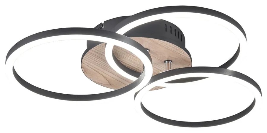 Čierno-hnedé LED stropné svietidlo 43x43 cm Circle – Trio