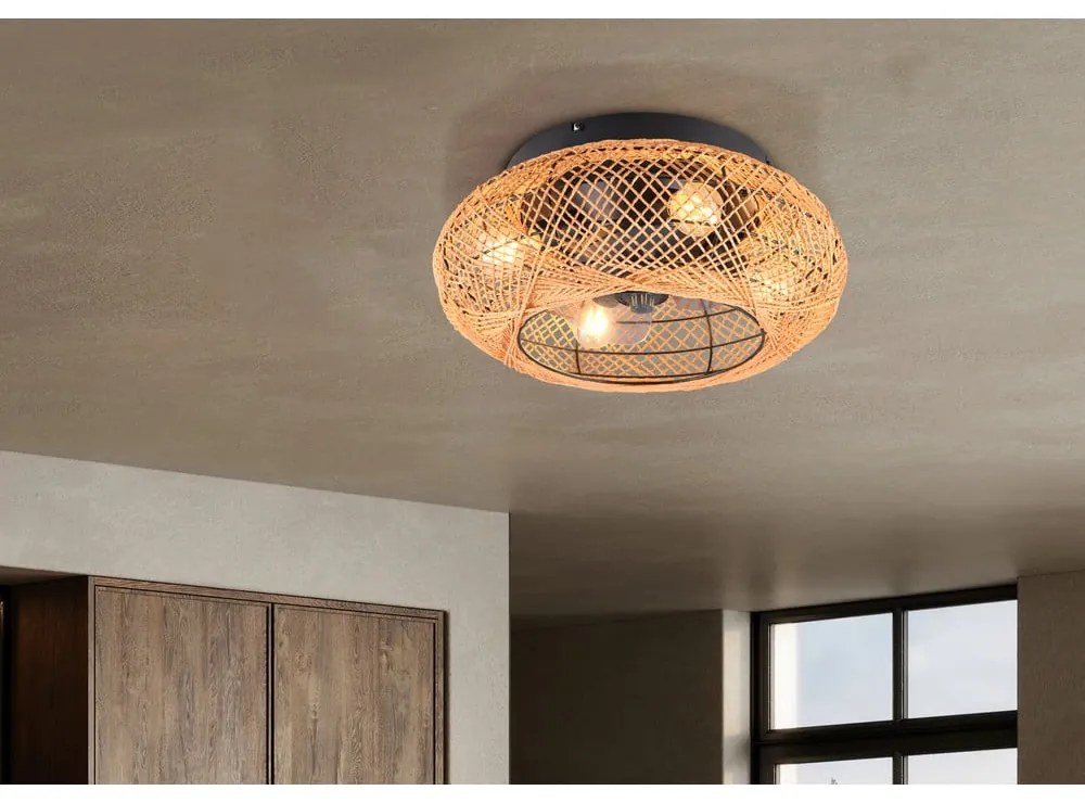 Hnedé stropné svietidlo na diaľkové ovládanie/s ventilátorom Lillesand – Trio