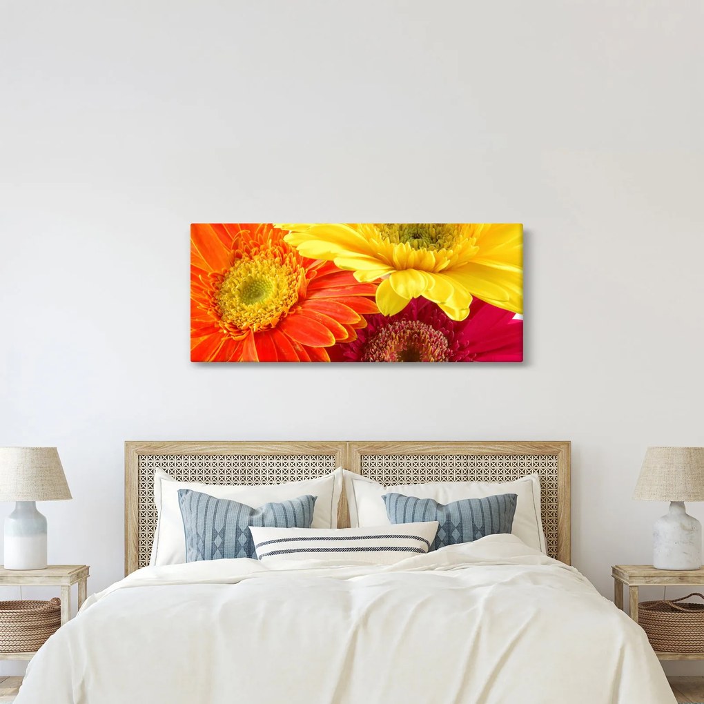 Obraz - Kvety Gerbery (120x50 cm)