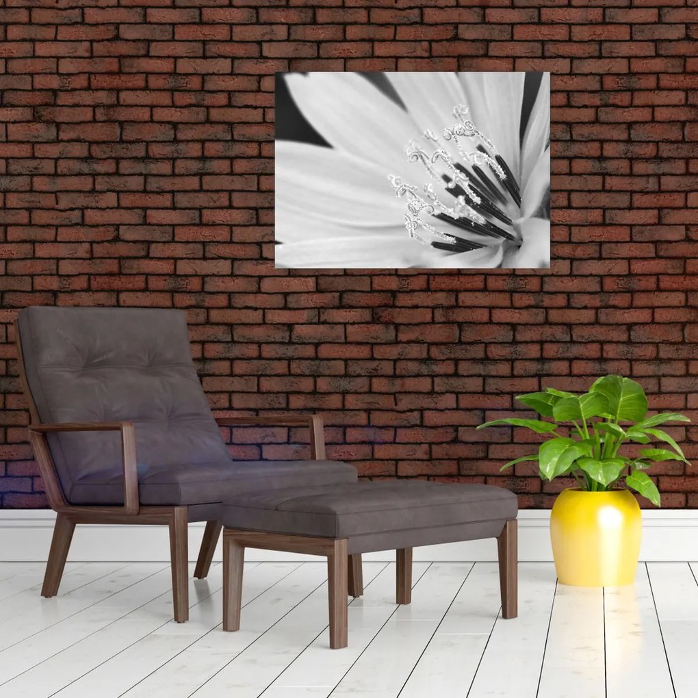 Obraz - Čiernobiely kvet (70x50 cm)