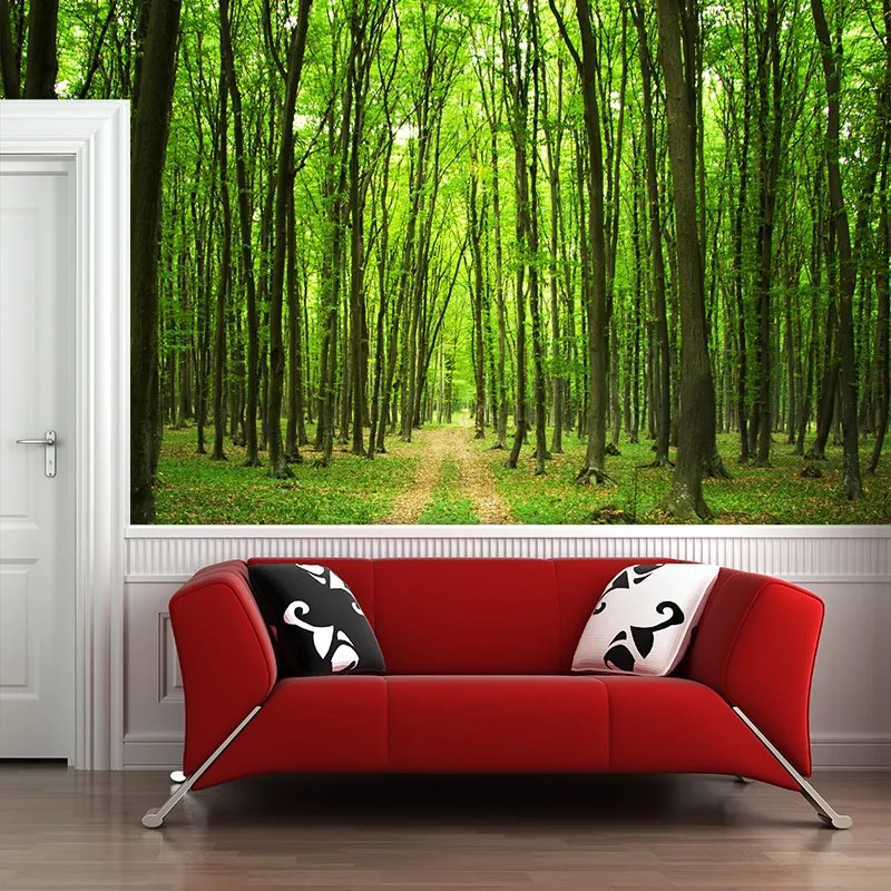 Sablio Tapeta Cesta v lese - 336x220 cm