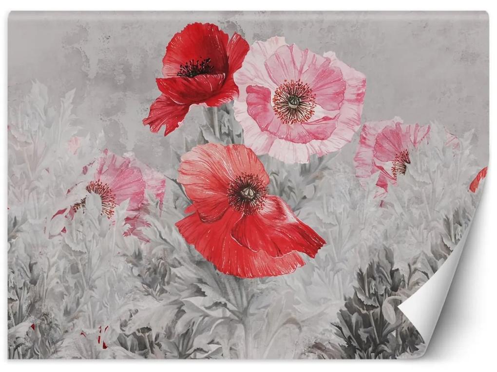 Fototapeta, Červené máky v akvarelu - 300x210 cm