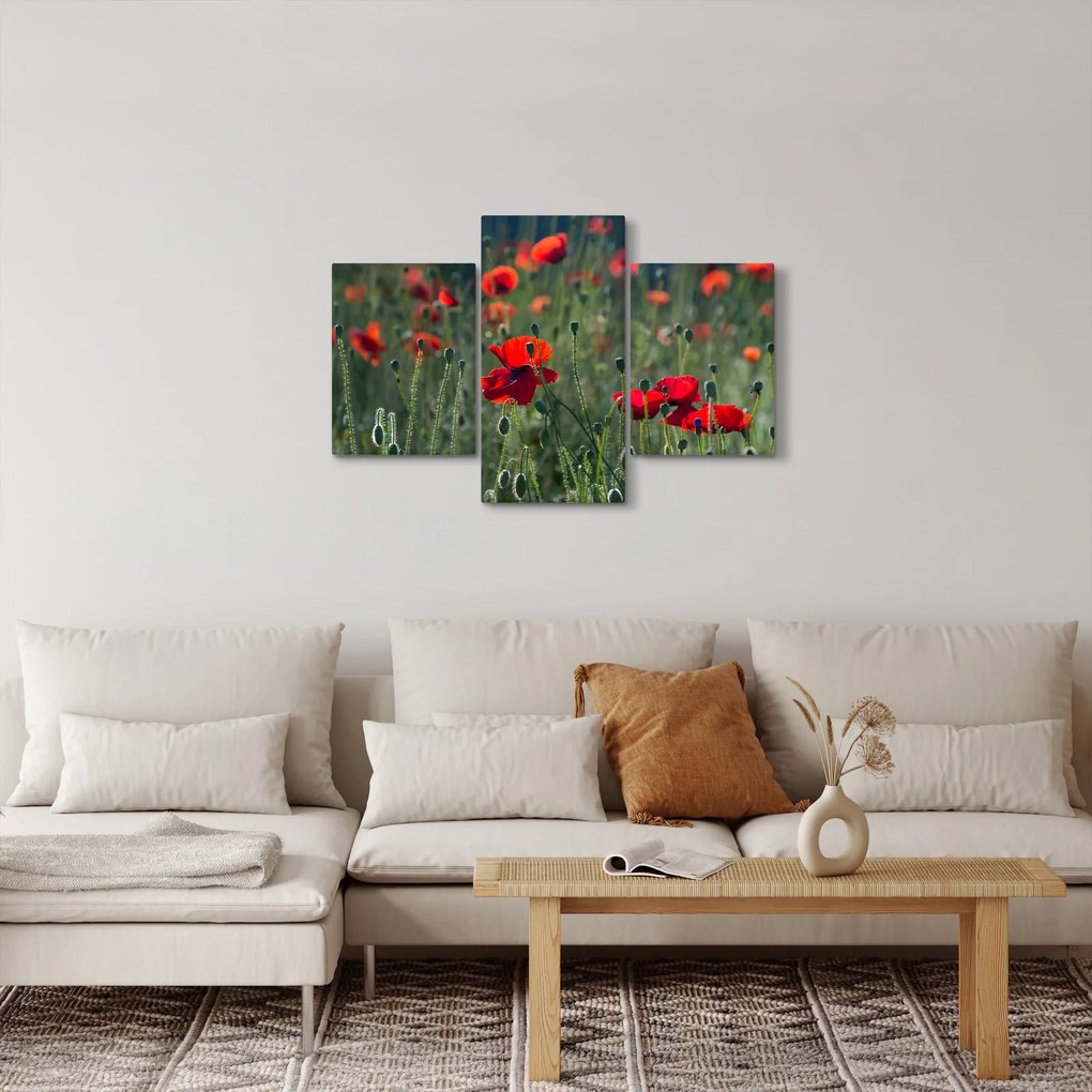 Obraz - Lúka s vlčími makmi (90x60 cm)