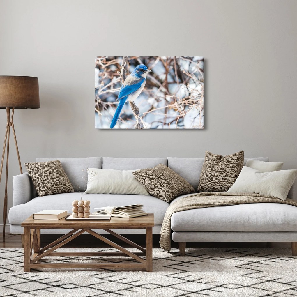 Obraz - Zimný vtáčik (90x60 cm)