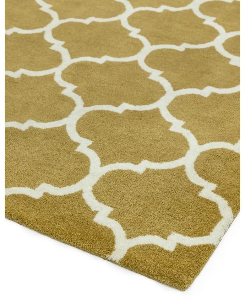 Okrovožltý ručne tkaný vlnený koberec 160x230 cm Albany – Asiatic Carpets