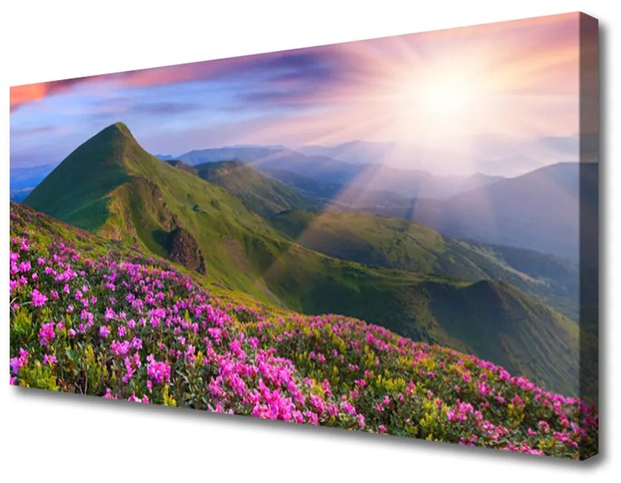 Obraz Canvas Hory lúka kvety príroda 125x50 cm