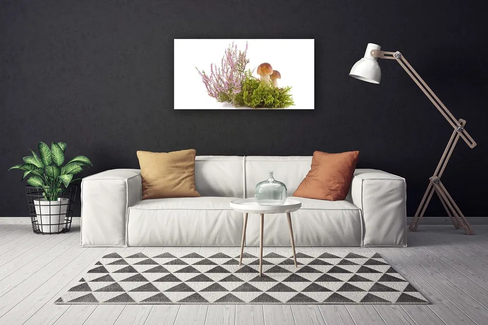 Obraz Canvas Huby rastlina príroda 120x60 cm