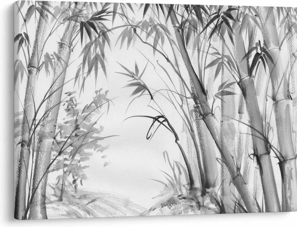 Obraz - Bambusový les (70x50 cm)