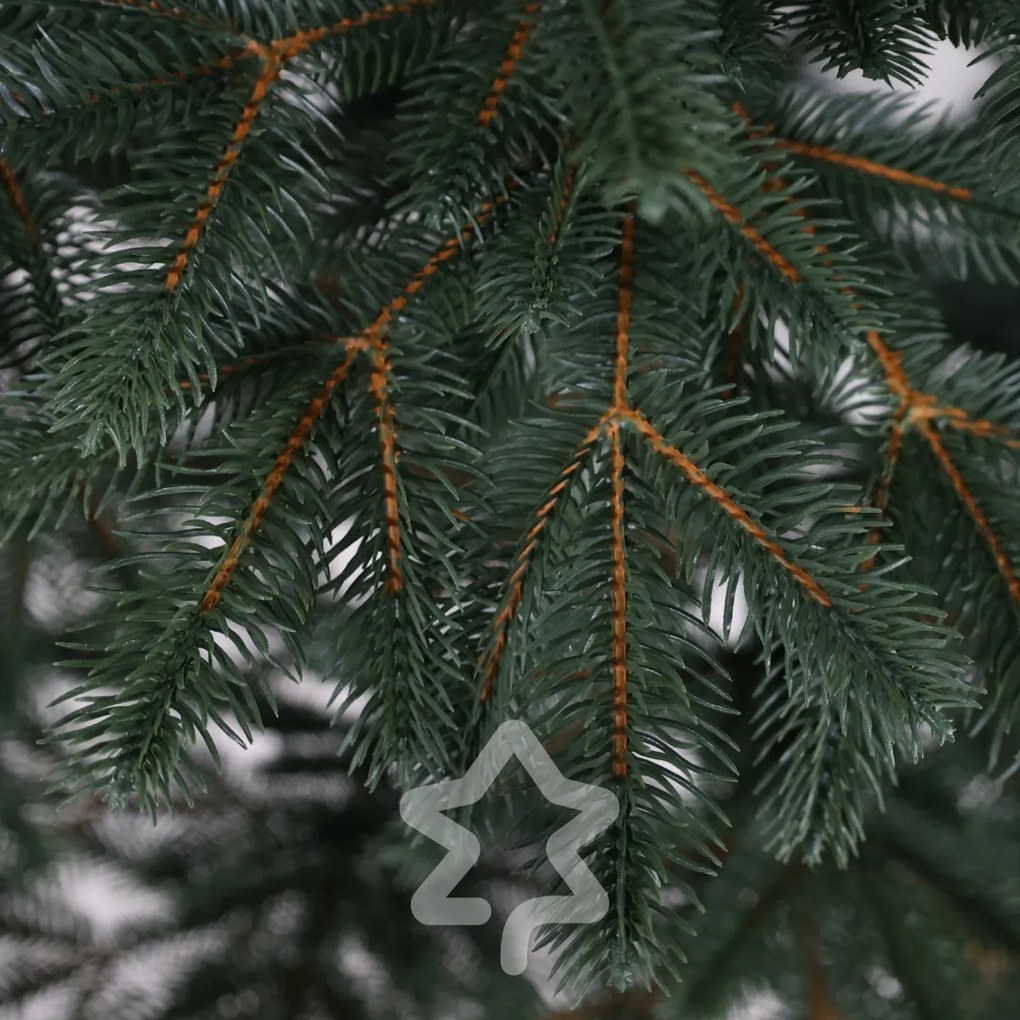 Jedľa Sibírska 100% 150 cm