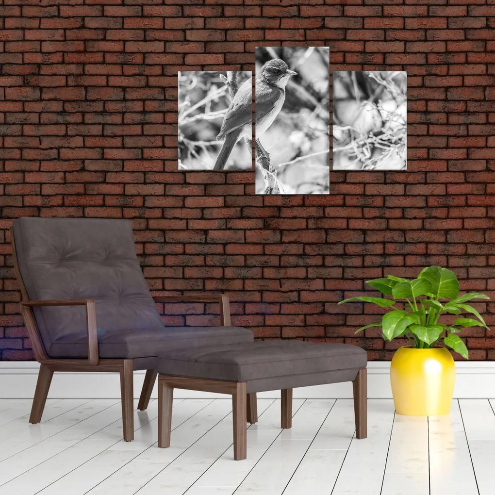 Obraz - Modrý vták v zime (90x60 cm)